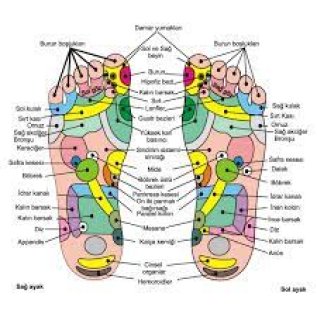 Refloksoloji masajı 